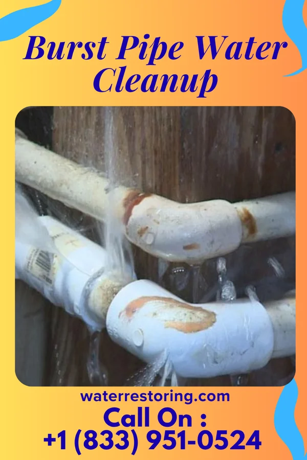 Burst Pipe Water Cleanup in Reedsville, WI