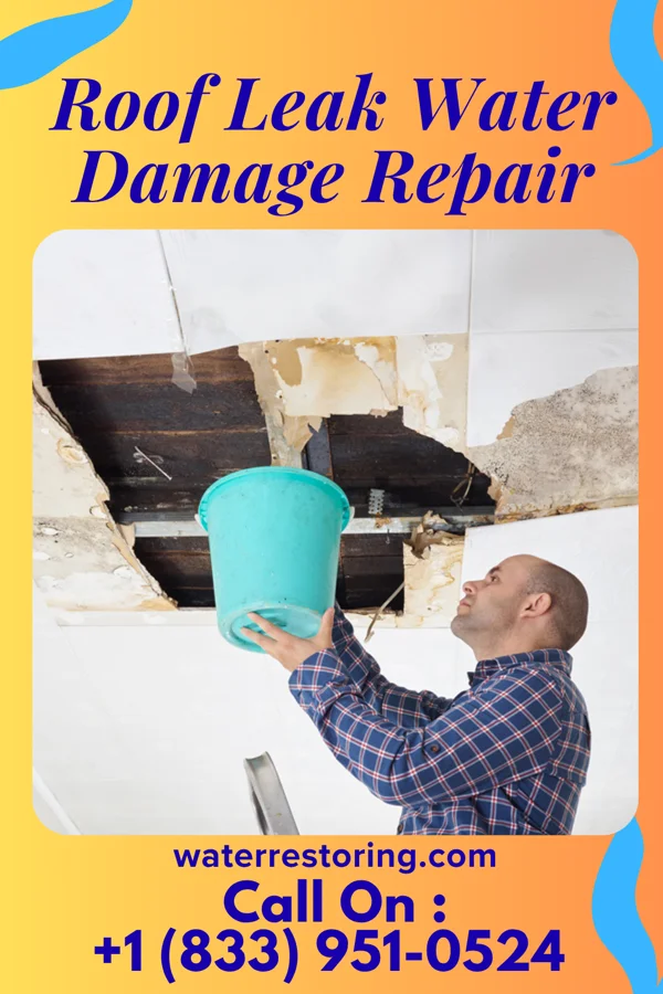 Roof Leak Water Damage Repair in Reedsville, WI