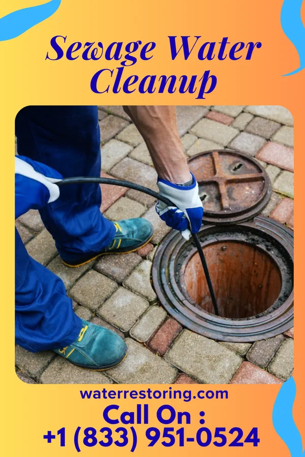 Sewage Water Cleanup in Reedsville, WI